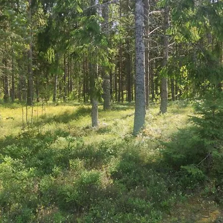 Sillaotsa Puhkemaja Alpstuga